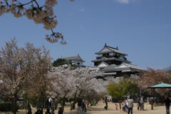 近隣の観光 松山城